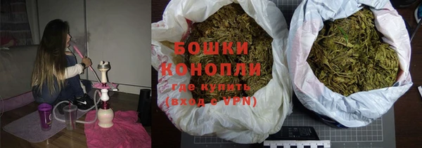 стаф Ладушкин