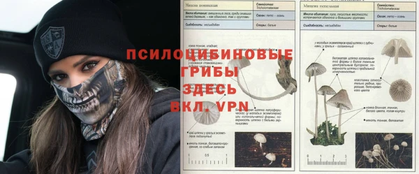 кокаин Кукмор