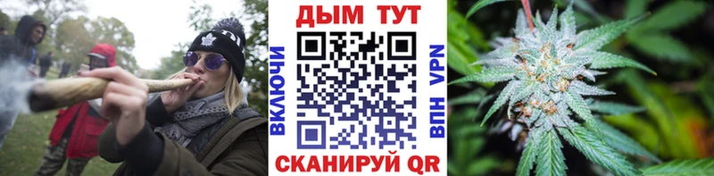 Канабис SATIVA & INDICA  Купить закладки  Нюрба 
